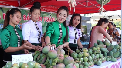 Xây dựng chuỗi liên kết tiêu thụ nông sản bền vững