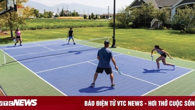 Sân pickleball chuẩn quốc tế có kích thước dài, rộng bao nhiêu?