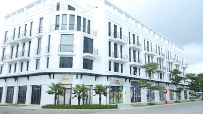 Vlasta - Sầm Sơn: Đưa nghệ thuật vào từng điểm chạm để hạnh phúc thăng hoa