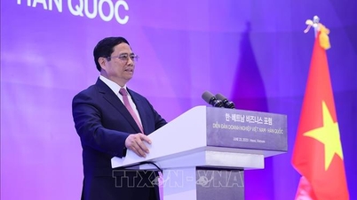 Mở ra triển vọng hợp tác thương mại và đầu tư mới giữa Việt Nam và Hàn Quốc