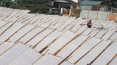 Rice paper village is busy at the end of the year