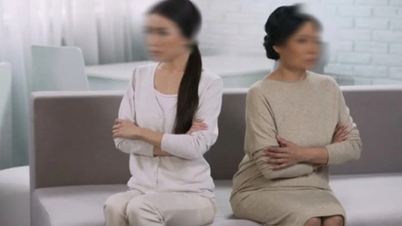 Phát hiện mẹ chồng lương hưu 8 triệu nhưng tháng nào hết tháng đó dù không tiêu gì, tôi nhắc bà giữ tiền phòng thân thì lĩnh ngay hậu quả