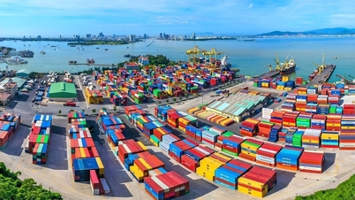 ទីក្រុង Da Nang នឹងក្លាយជាមជ្ឈមណ្ឌលដឹកជញ្ជូនទំនិញក្នុងតំបន់ និងអន្តរជាតិ។