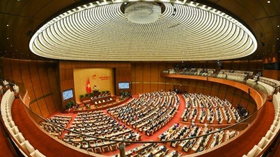 Proactively and promptly put laws and resolutions of the National Assembly into practice