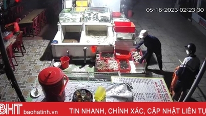 Many restaurants in Thien Cam had their seafood stolen at midnight.
