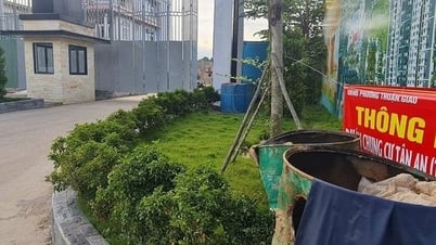 Một công ty vận chuyển trái phép phép đất ra khỏi dự án