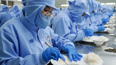 Đề xuất “Tri thức khai thác, chế biến yến sào ở Khánh Hòa” là di sản văn hóa phi vật thể quốc gia
