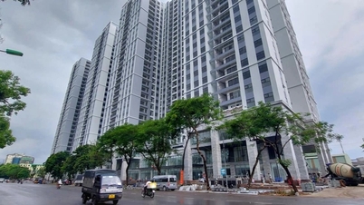 What is the issue with the 3 projects in Hanoi that the Government Inspectorate proposed to transfer for investigation?