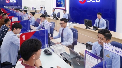 SCB បញ្ចប់ប្រតិបត្តិការការិយាល័យប្រតិបត្តិការចំនួន 2