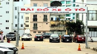 Da Nang versteigert 12 große Grundstücke
