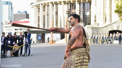 24 hours full of fun surprises in Wellington