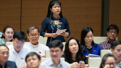 EVN: Need tens of billions of dong in the bank to be able to pay off due debts