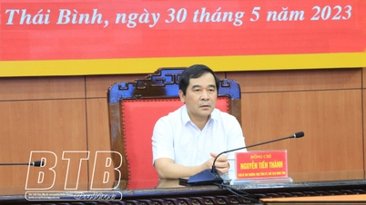 Comments on amendments and supplements to Regulation No. 132-QD/TW of the Politburo