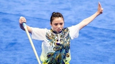 Vietnam Sports Delegation Won Two More Bronze Medals in Wushu and Taekwondo