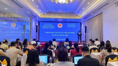 Mở khóa đào tạo về tự chứng nhận xuất xứ hàng hóa