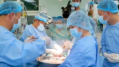 Quả tim đã đập lại trong lồng ngực của Bệnh nhân