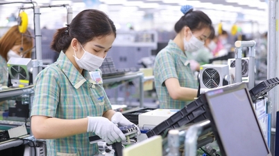 Quy định về chuyển đổi công ty nhà nước thành công ty TNHH một thành viên
