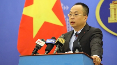 Vietnam estudiará el estatus de país socio del BRICS