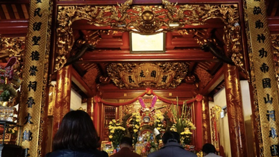 Tạm đình chỉ 2 người