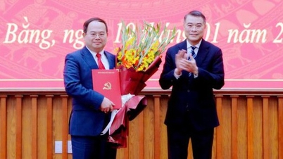 Phó Bí thư Tỉnh ủy Đồng Nai làm Bí thư Tỉnh ủy Cao Bằng