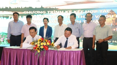 Binh Thuan និង Ninh Thuan សហការអភិវឌ្ឍន៍វប្បធម៌ កីឡា និងទេសចរណ៍