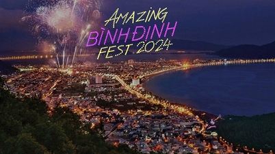 Binh Dinh រៀបចំ gala night ដើម្បីជួបមហាសេដ្ឋីជាលើកដំបូង