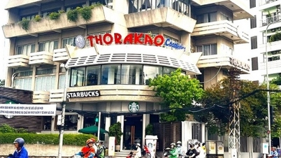 How Thorakao cosmetics "catches the trend" of green living to restore growth