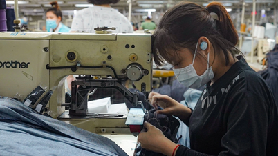 5 trường hợp người lao động cần biết về bảo hiểm thất nghiệp