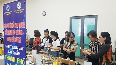Da Nang: Newly established businesses cautious when entering the market