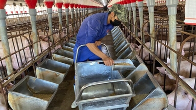 Hội Chăn nuôi phản ứng việc kiểm kê khí nhà kính ở trang trại lợn, gà