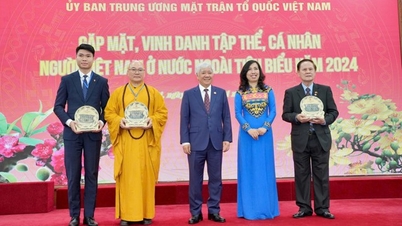 Chủ tịch Mặt trận Tổ quốc khen thưởng tập thể, cá nhân kiều bào tiêu biểu