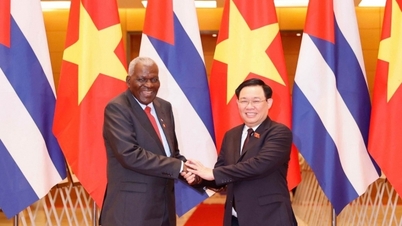 មានតែបងប្អូន និងសមមិត្តទេដែលអាចផ្តល់ការយកចិត្តទុកដាក់ និងស្វាគមន៍យ៉ាងស្មោះស្ម័គ្រដល់គ្នាទៅវិញទៅមក។