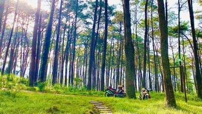 Ngỡ ngàng A Lưới