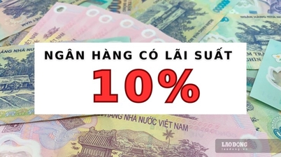 អត្រាការប្រាក់ 10% / ឆ្នាំលេចឡើង