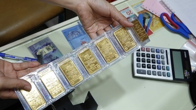 Giá vàng miếng SJC đột ngột giảm mạnh 700.000 đồng/lượng