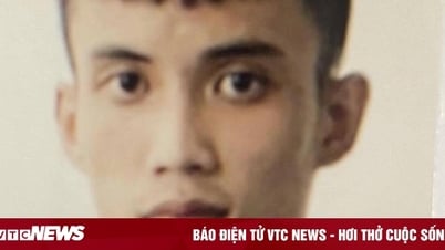 Truy nã nam thanh niên trộm 300 triệu đồng trong tài khoản của sếp để chơi game