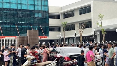 Ngày 26/8 chốt hạn nộp đơn xin chuyển trường