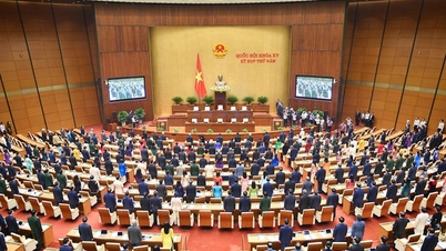 Những nội dung chính của kỳ họp thứ năm, Quốc hội khóa XV