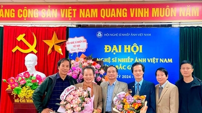 សមាជសមាគមអ្នកថតរូបវៀតណាមនៅខេត្ត Bac Giang អាណត្តិឆ្នាំ 2024