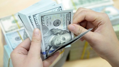 តម្លៃ USD ថ្ងៃនេះ 4.2.2024: ចុះមកត្រឹម 24,500 ដុង