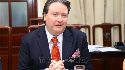 Ambassador Marc E. Knapper: Strong progress in the Vietnam - United States comprehensive strategic partnership