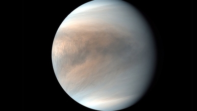 The Truth About the Solar System's Third Habitable Planet