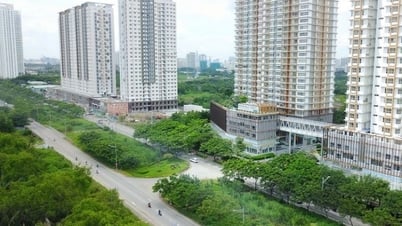 Many violations discovered in the Project to create an urban land fund for Ho Chi Minh City