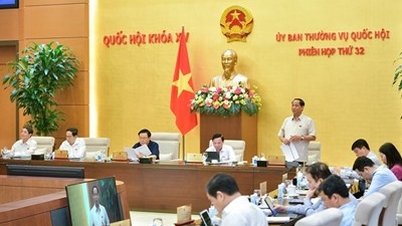 ស្នើ​ឱ្យ​ផ្តោត​លើ​ការ​ត្រួតពិនិត្យ និង​ពិនិត្យ​សហគ្រាស​ពាណិជ្ជកម្ម​មាស