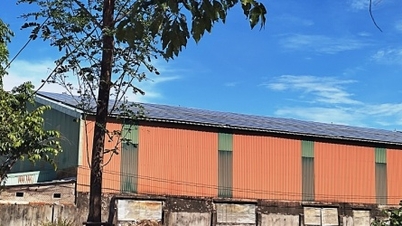 Ninh Thuan recomienda no invertir en energía solar en los techos de las fábricas de los parques industriales
