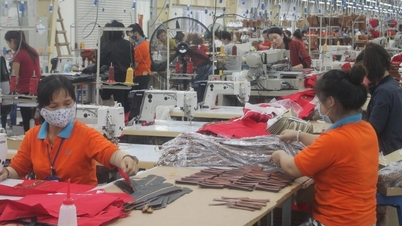 Doanh nghiệp cần 6.000 công nhân, mức lương lên đến 15 triệu đồng