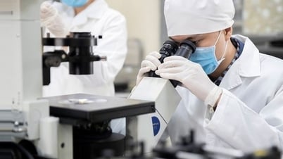 Tăng số lượng người Việt lọt vào danh sách nhà khoa học ảnh hưởng nhất thế giới