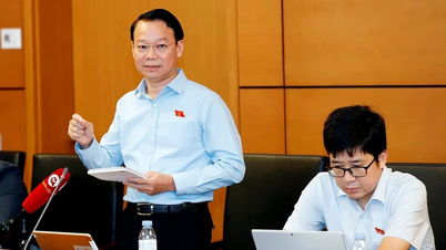Mới có 2 địa phương ban hành đầy đủ văn bản hướng dẫn Luật Đất đai