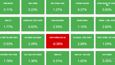 Stocks successfully reversed after 4 sessions of decline, VN-Index increased by nearly 16 points