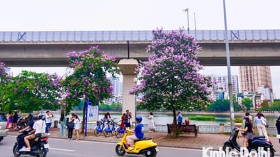 ការអនុម័តលើការកែសម្រួលផែនការលម្អិតក្នុងតំបន់ក្នុងវួដ O Cho Dua